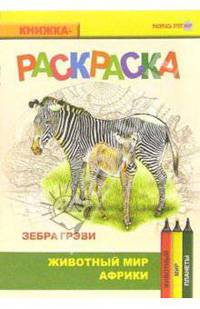 Зебра Грэви. Живой мир Африки