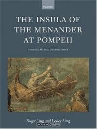 The Insula of the Menander at Pompeii: The Decorations (The Insula of the Menander at Pompeii)