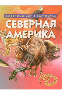 Северная Америка. Животный мир в картинках
