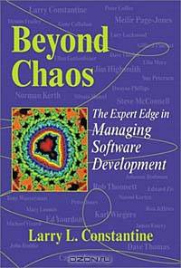 Beyond Chaos: The Expert Edge in Managing Software Development