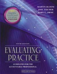 Evaluating Practice: Guidelines for the Accountable Professional (5th Edition)