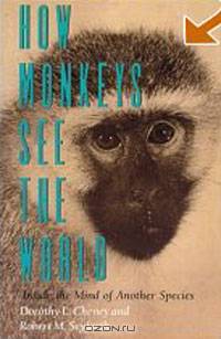 How Monkeys See the World: Inside the Mind of Another Species