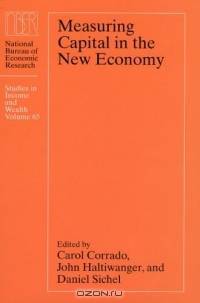Measuring Capital in the New Economy (National Bureau of Economic Research Studies in Income and Wealth)