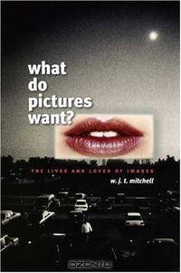 What Do Pictures Want?