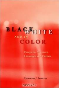 Black, White, and in Color : Essays on American Literature and Culture