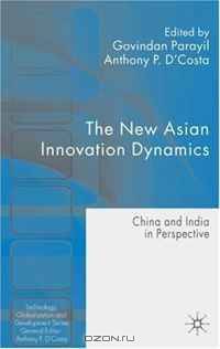 The New Asian Innovation Dynamics: China and India in Perspective (Technology, Globalization and Development)