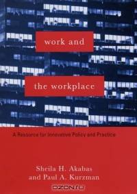 Work and the Workplace : A Resource for Innovative Policy and Practice (Foundations of Social Work Knowledge Series)