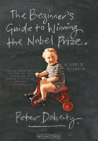 The Beginner