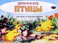 Изучаем и раскрашиваем. Домашние птицы