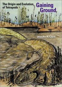 Gaining Ground: The Origin and Early Evolution of Tetrapods