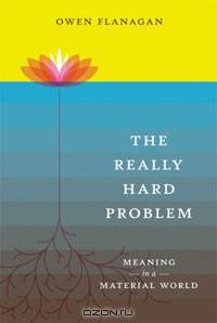 The Really Hard Problem: Meaning in a Material World