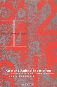 Assessing Rational Expectations: Sunspot Multiplicity and Economic Fluctuations