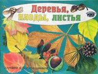 Деревья, плоды, листья. Изучаем и раскрашиваем