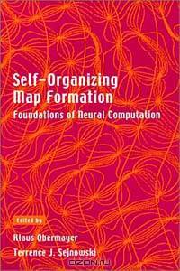 Self-Organizing Map Formation: Foundations of Neural Computation (Computational Neuroscience)