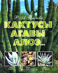 Кактусы, агавы, алоэ...