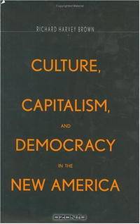 Culture, Capitalism, and Democracy in the New America
