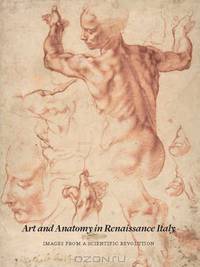 Art and Anatomy in Renaissance Italy: Images from a Scientific Revolution (Metropolitan Museum of Art)