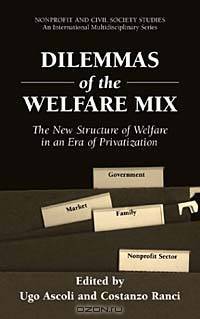 Dilemmas of the Welfare Mix: The New Structure of Welfare in an Era of Privatization (Nonprofit and Civil Society Studies)