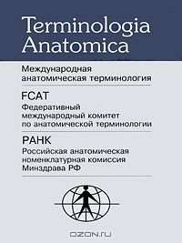 Terminologia Anatomica / Международная анатомическая терминология / International Anatomical Terminology