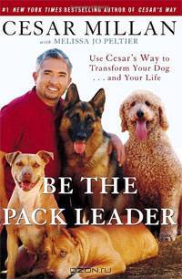 Be the Pack Leader: Use Cesar