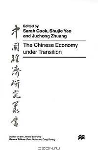 The Chinese Economy Under Transition (Studies on the Chinese Economy)