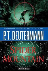 Spider Mountain: A Novel