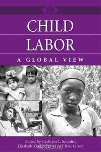 Child Labor: A Global View (A World View of Social Issues)