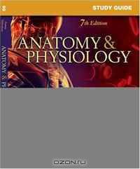 Study Guide for Anatomy & Physiology