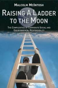 Raising a Ladder to the Moon : The Complexities of Corporate Social and Environmental Responsibility