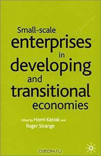 Small-Scale Enterprises In Developing And Transitional Economies