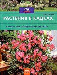 Балконные растения. Выбор. Оформление. Уход