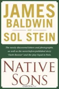 Native Sons : A Friendship that Created One of the Greatest Works of the 20th Century: Notes of a Native Son