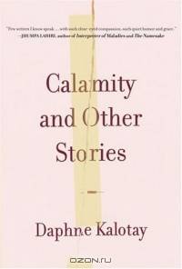 Calamity and Other Stories