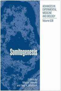 Somitogenesis (Advances in Experimental Medicine and Biology) (Advances in Experimental Medicine and Biology)