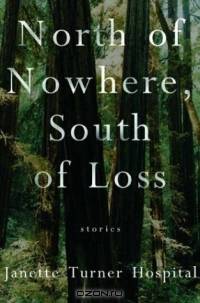North of Nowhere, South of Loss: Stories