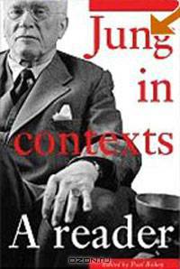 Jung in Contexts