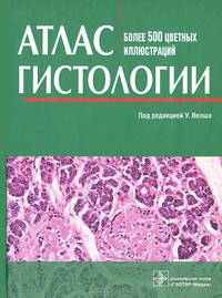 Атлас гистологии
