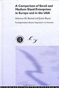 A Comparison of Small and Medium Sized Enterprises in Europe and the USA