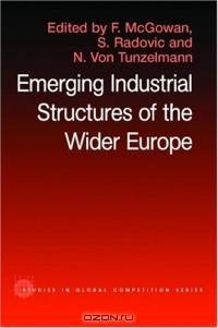 The Emerging Industrial Structure of the Wider Europe (Routledge Studies in Business Organization and Networks)