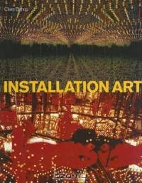 Installation Art: A Critical History