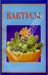 Кактусы