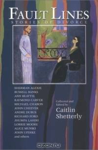 Fault Lines : Stories of Divorce