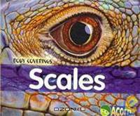 Scales