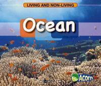 Ocean