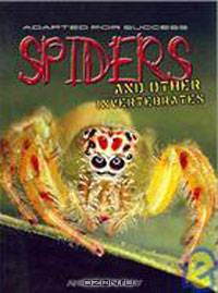 Spider and Other Invertebrates