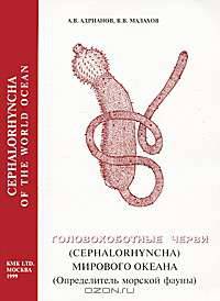 Головохоботные черви (Cephalorhyncha) Мирового Океана. Определитель морской фауны