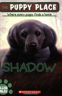 Shadow
