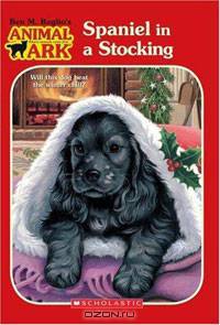 Spaniel in a Stocking