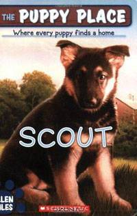 Scout