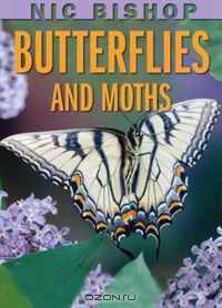 Nic Bishop Butterflies And Moths